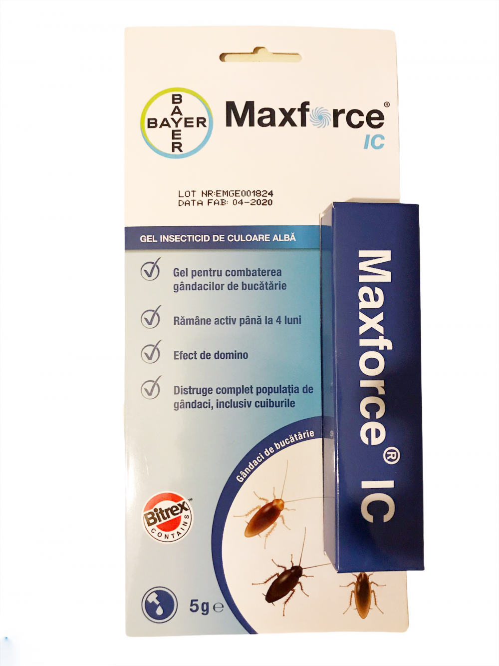 Insecticid Max Force IC White 5 gr