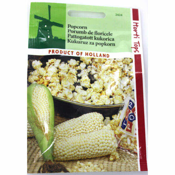 Seminte porumb Popcorn 3 gr, Holland