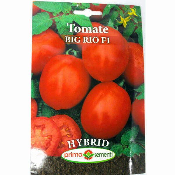 Seminte tomate Big Rio F1