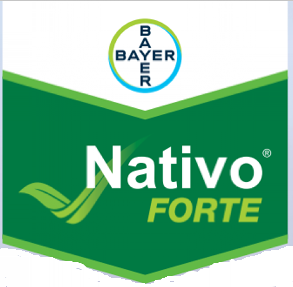 Fungicid NATIVO FORTE 280 EC 5 l