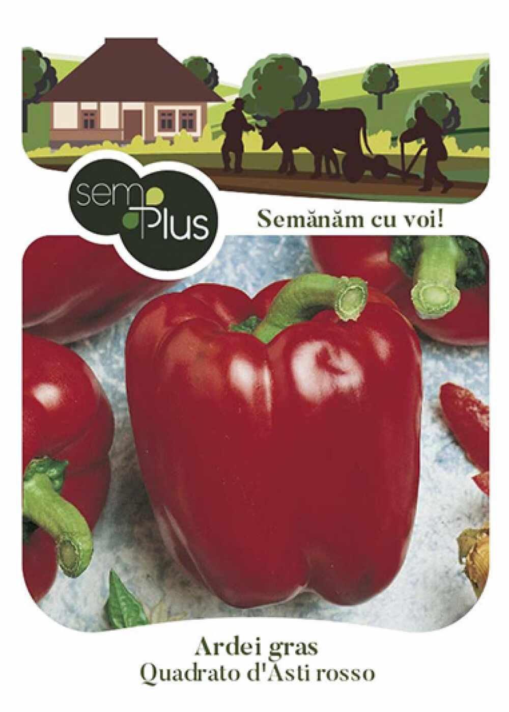 Seminte de ardei gras Quadrato d Asti Rosso 08 grame SemPlus