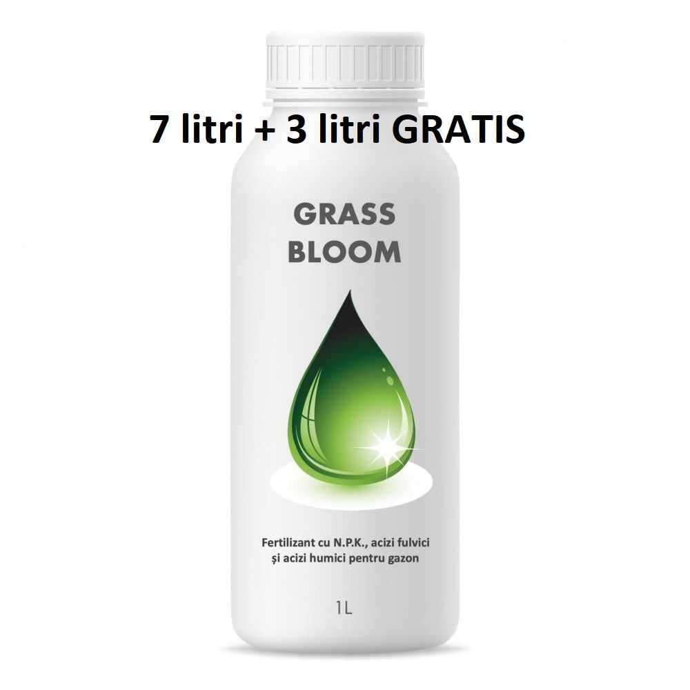 Pachet promotional Fertilizant EC special pentru gazonul din curte Grass Bloom 1 litru 7+3 GRATIS