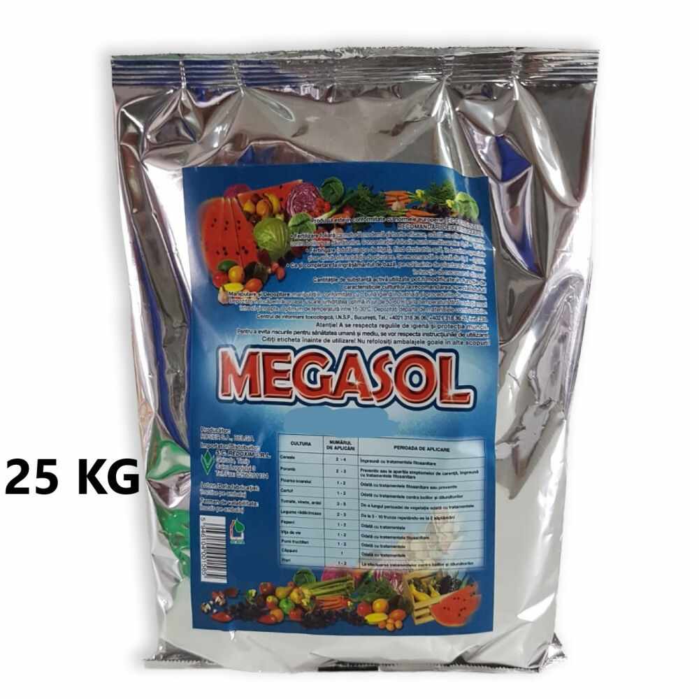 Ingrasamant Megasol 20-20-20 25 kg