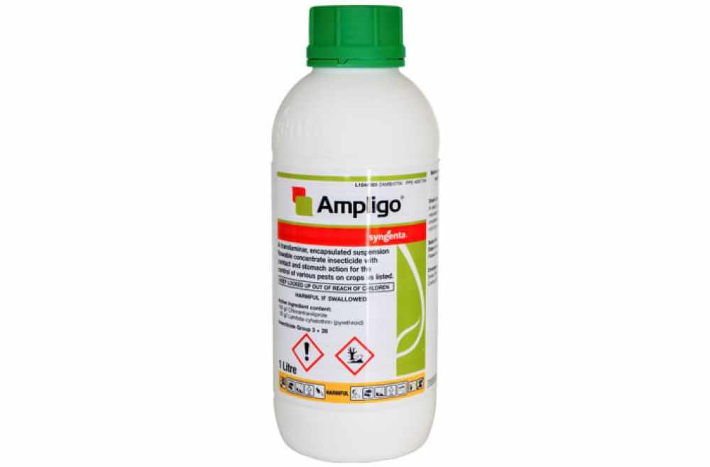 Insecticid Ampligo 1 l
