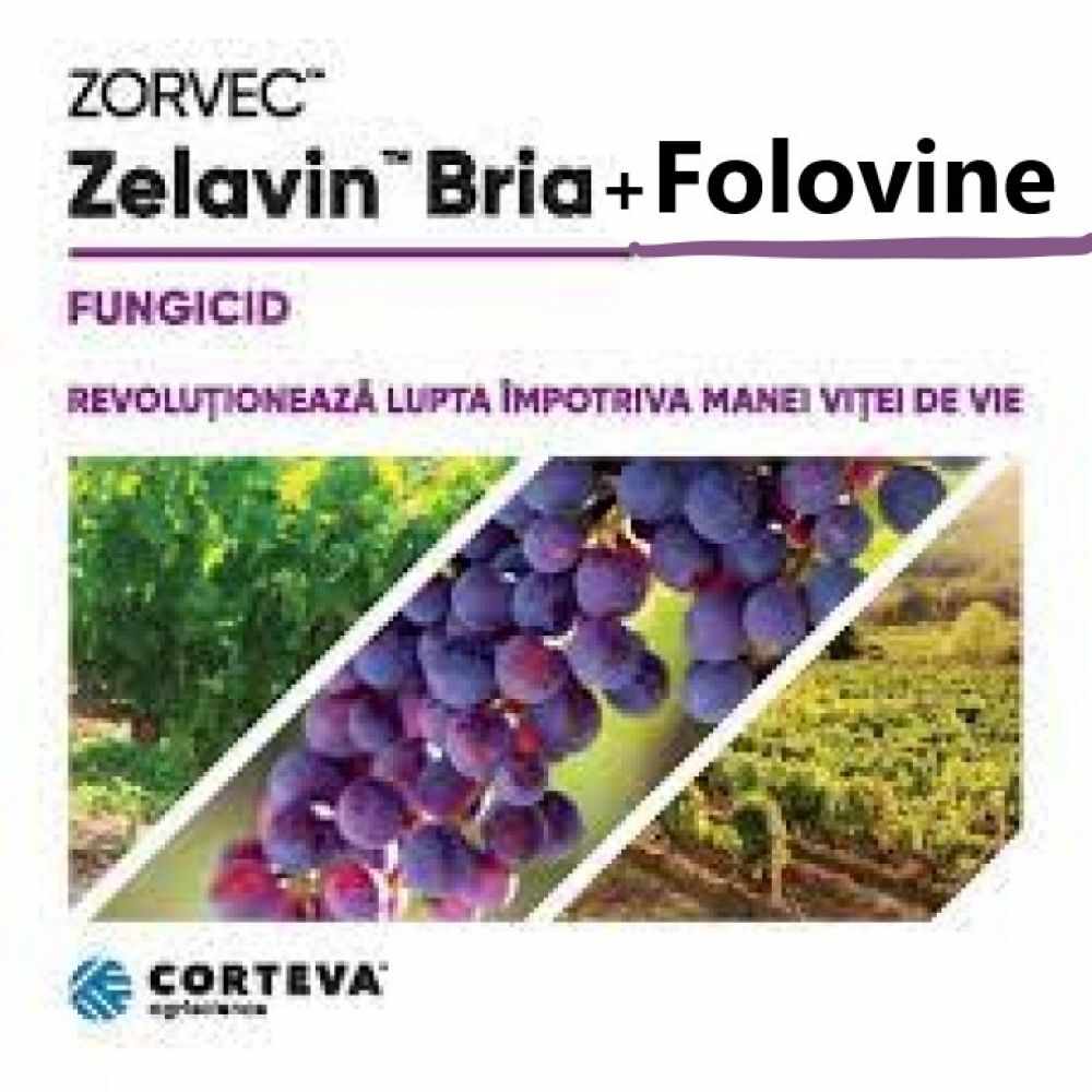 Pachet Zorvec Zelavin Bria (Zorvec 0.8 l+ Folovine 5 kg)