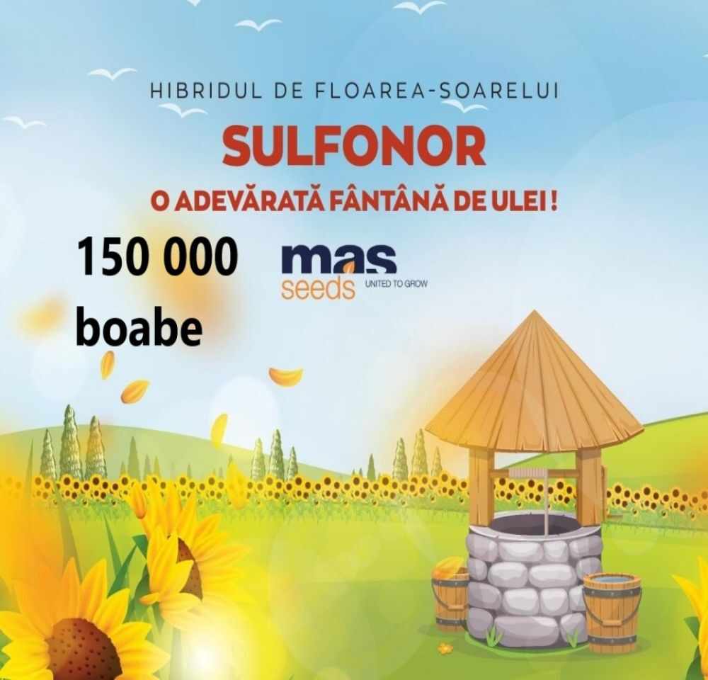 Seminte Floarea Soarelui Sulfonor SU sac 150 000