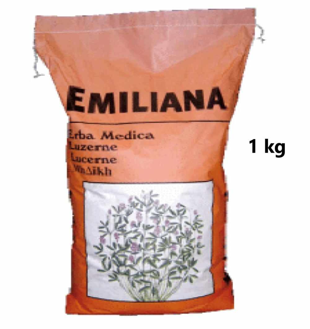 Seminte Lucerna Emiliana 1 kg