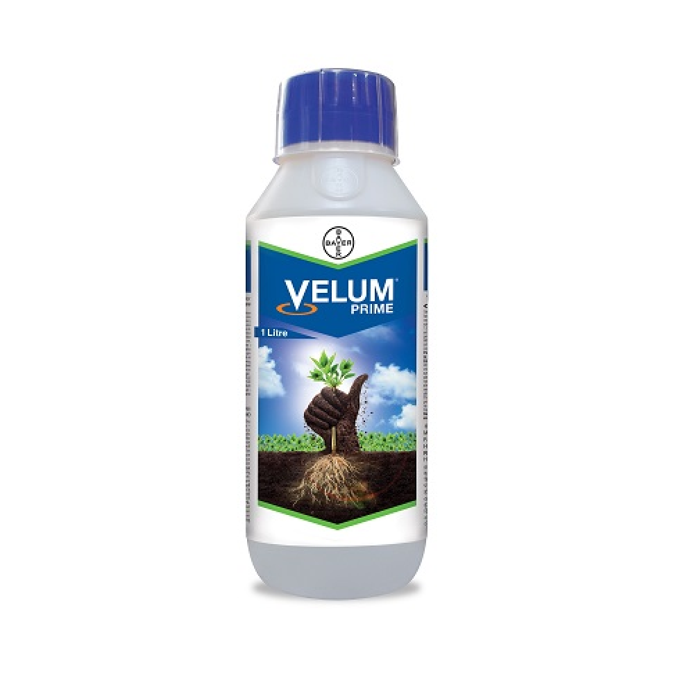 Insecticid agro cu actiune nematocida si fungicida Velum Prime 400 SC 1 litru