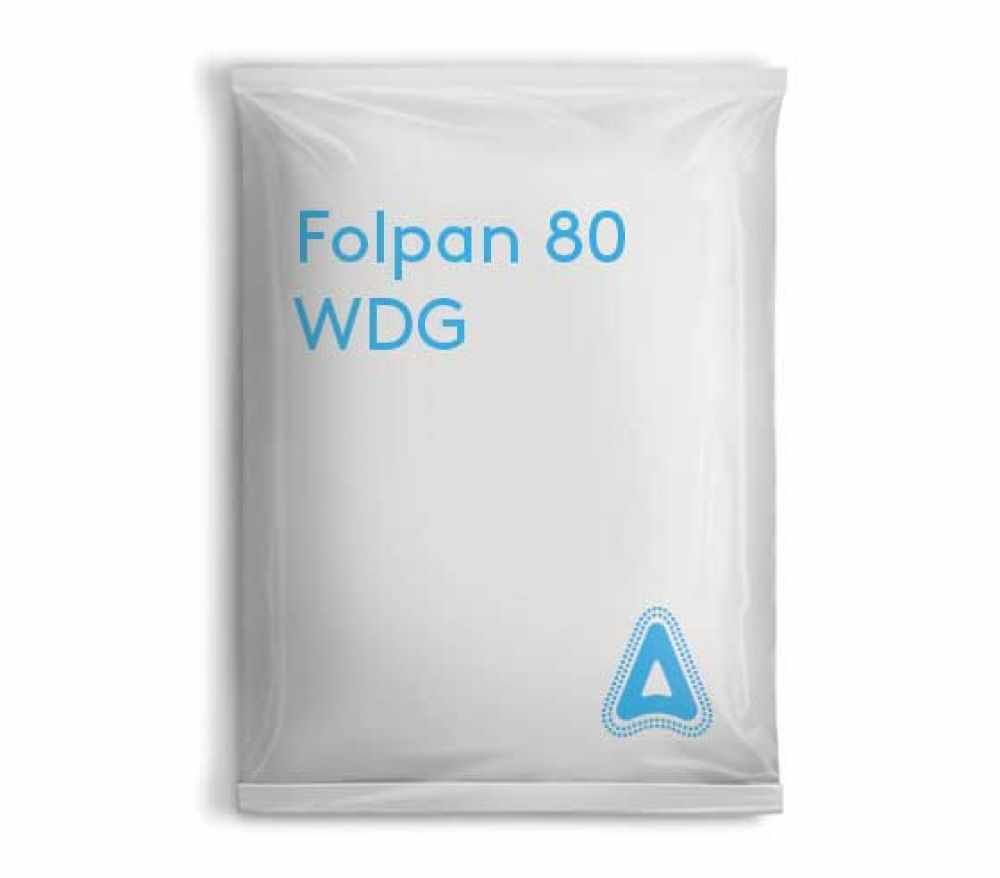 Fungicid Folpan 80 WDG 5 kg
