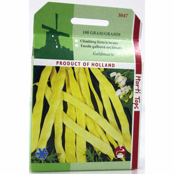 Seminte fasole galbena, lata Goldmarie 100 gr, Holland