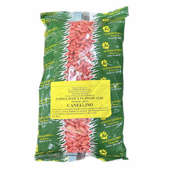 Seminte fasole pitica pentru boabe albe Cannelino 500 gr