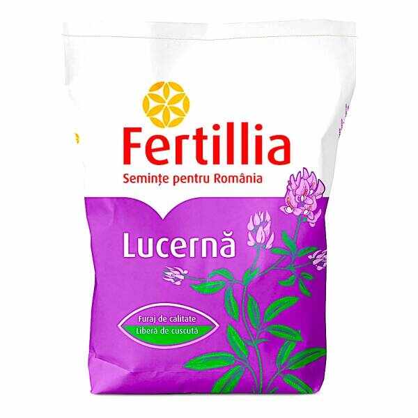 Seminte lucerna Letizia 10 kg Fertillia
