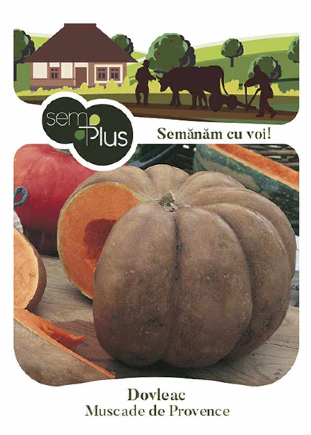 Seminte de dovleac Muscade de Provence 15 grame SemPlus