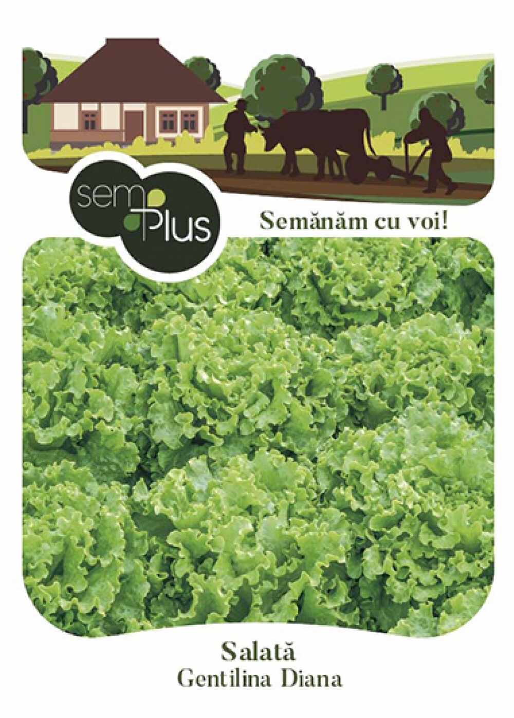 Seminte de salata Gentilina 1 gram SemPlus