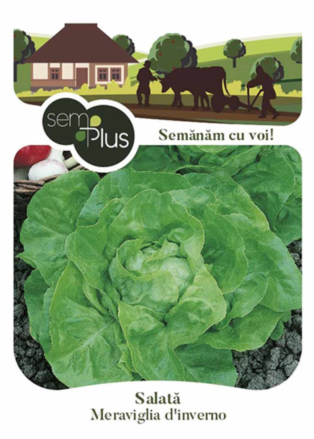 Seminte de salata Meraviglia d Inverno 2 grame SemPlus