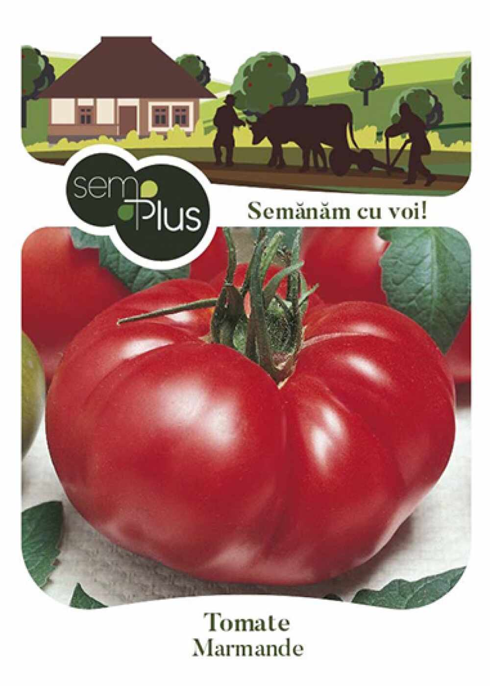 Seminte de tomate Marmande 05 grame SemPlus